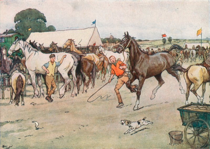 Targi Koni . . . „Było dużo targowania się, podbiegania i bicia” autorstwa Cecil Charles Windsor Aldin