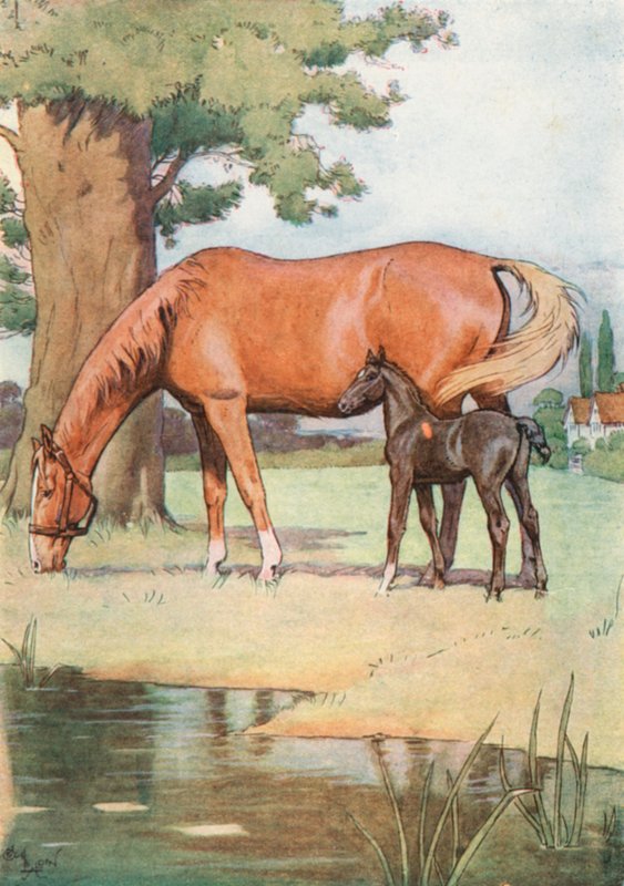 Pierwszym miejscem, które dobrze pamiętam, była Wielka Przyjemna Łąka z Stawem Czystej Wody autorstwa Cecil Charles Windsor Aldin