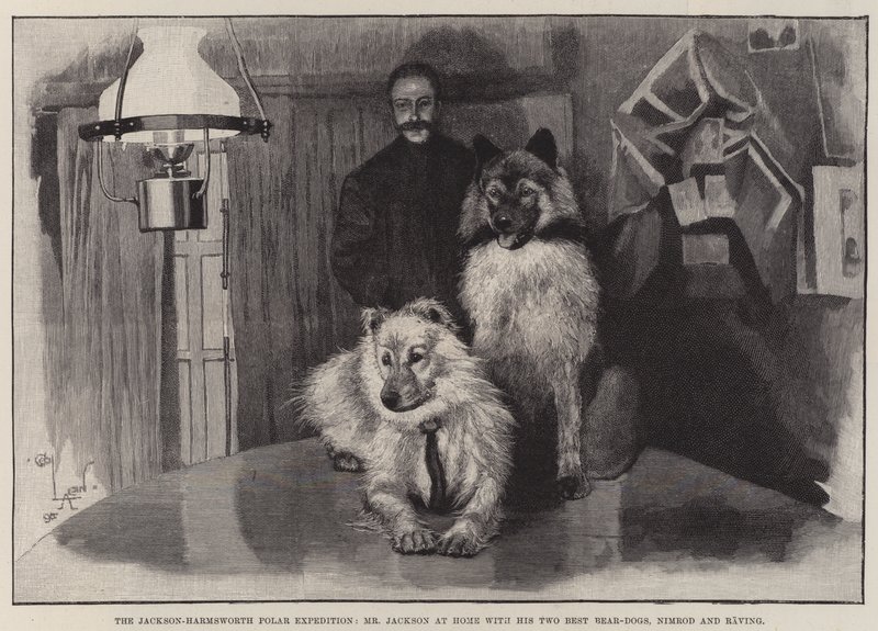 Jackson-Harmsworth Polar Expedition, Pan Jackson w domu z jego dwóch najlepszych Bear-Dogs, Nimrod i Raving autorstwa Cecil Charles Windsor Aldin