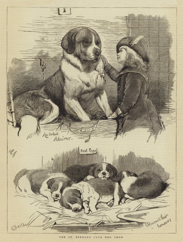 Klubowa Wystawa Bernardynów autorstwa Charles Burton