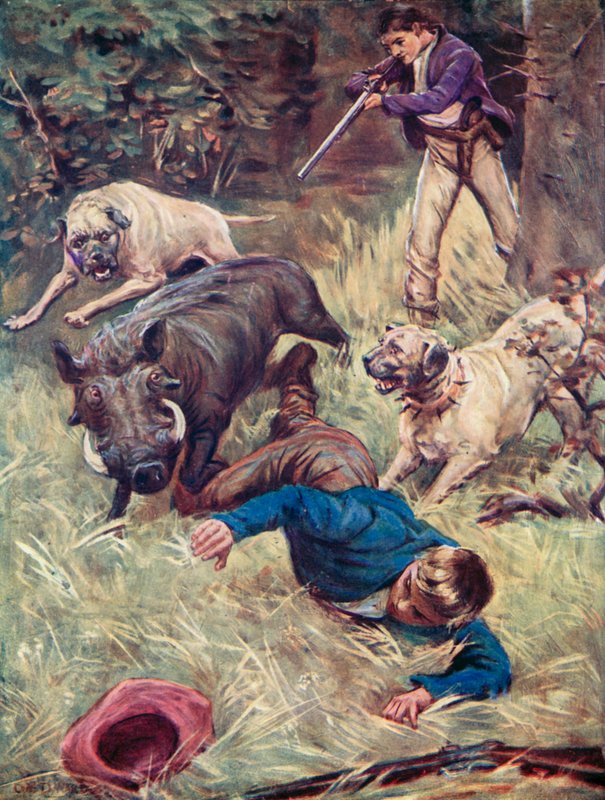 Ilustracja do Robinsona szwajcarskiego autorstwa Charles Daniel Ward