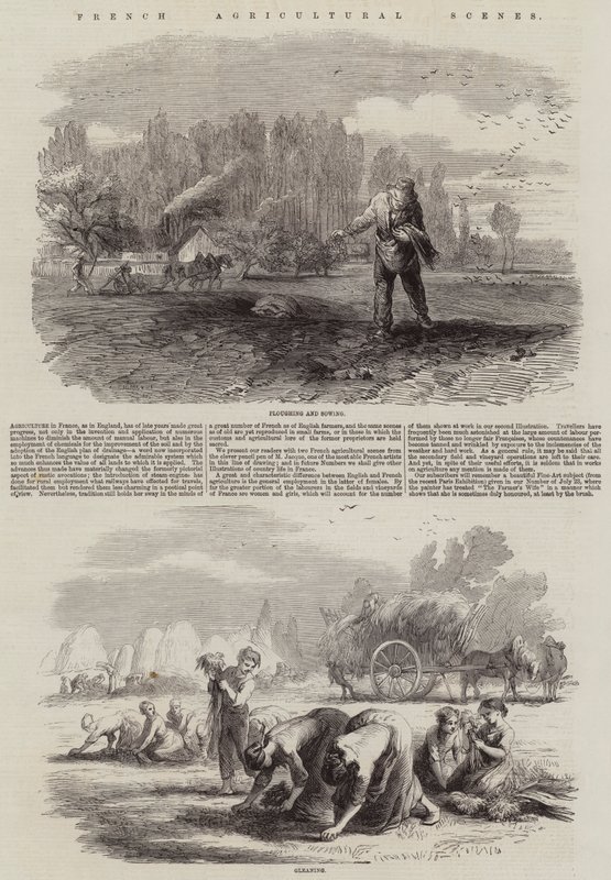 Francuskie sceny rolnicze autorstwa Charles Emile Jacque