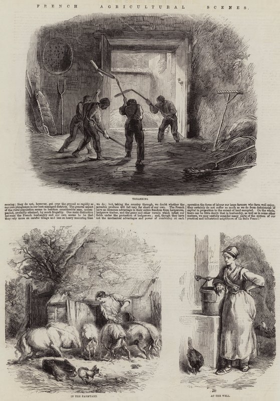 Francuskie sceny rolnicze autorstwa Charles Emile Jacque