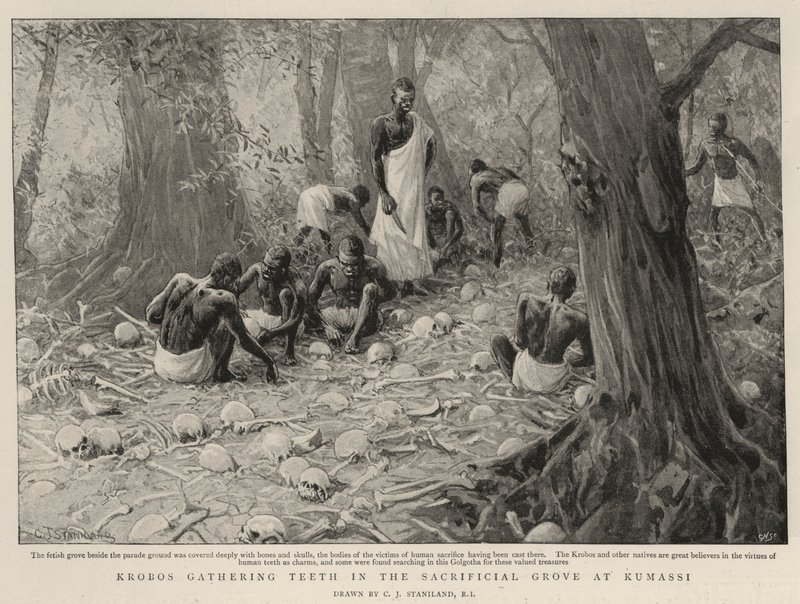 Krobos zbierający zęby w Gaju Ofiarnym w Kumassi autorstwa Charles J. Staniland
