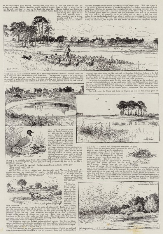 Zakątki Norfolk autorstwa Charles J. Staniland