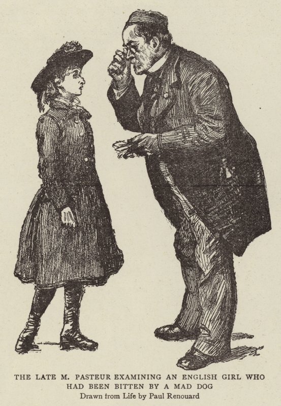 Późny M Pasteur badający Angielkę ugryzioną przez Wściekłego Psa autorstwa Charles Paul Renouard