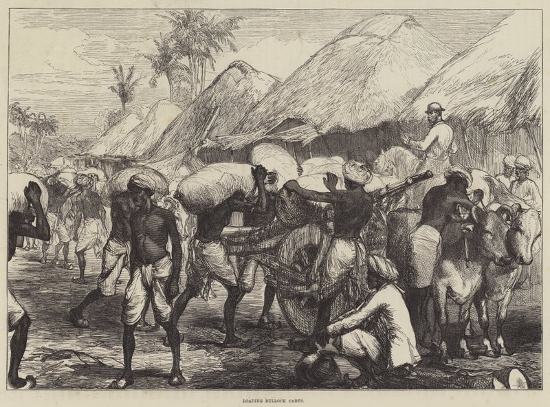 Ładowanie wózków Bullock autorstwa Sir John Charles Robinson