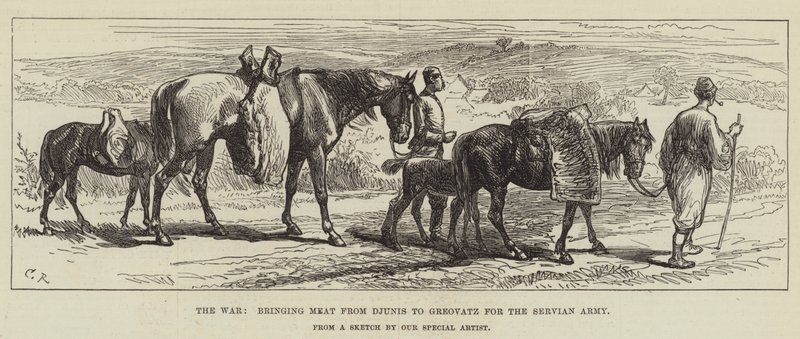 Wojna, sprowadzająca mięso z Djunis do Greovatz dla armii serbskiej autorstwa Sir John Charles Robinson