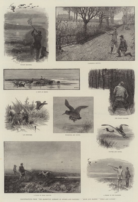 Ilustracje z Biblioteki Badmintona, Sporty i rozrywki, Moor i Marsh, Field i Covert autorstwa Charles Whymper