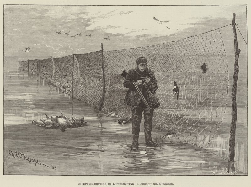 Wildfowl-Netting w Lincolnshire, szkic w pobliżu Bostonu autorstwa Charles Whymper