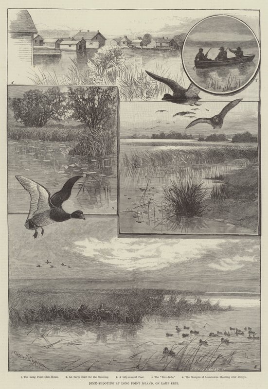 Strzelanie do kaczek na Long Point Island, nad jeziorem Erie (grawerowanie) autorstwa Charles (after) Whymper