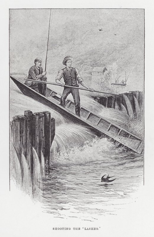 Wyłudzanie informacji: strzelanie do „zwłok” (litografia) autorstwa Charles (after) Whymper