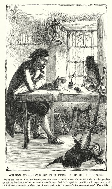 Wilson ogarnięty przerażeniem więźnia (rycina) autorstwa Charles Altamont Doyle