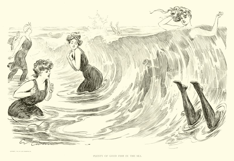 Ilustracja do drabiny społecznej (grafika) autorstwa Charles Dana Gibson