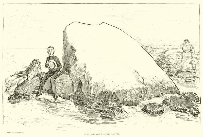 Ilustracja do drabiny społecznej autorstwa Charles Dana Gibson