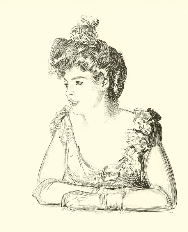 Ilustracja do drabiny społecznej autorstwa Charles Dana Gibson