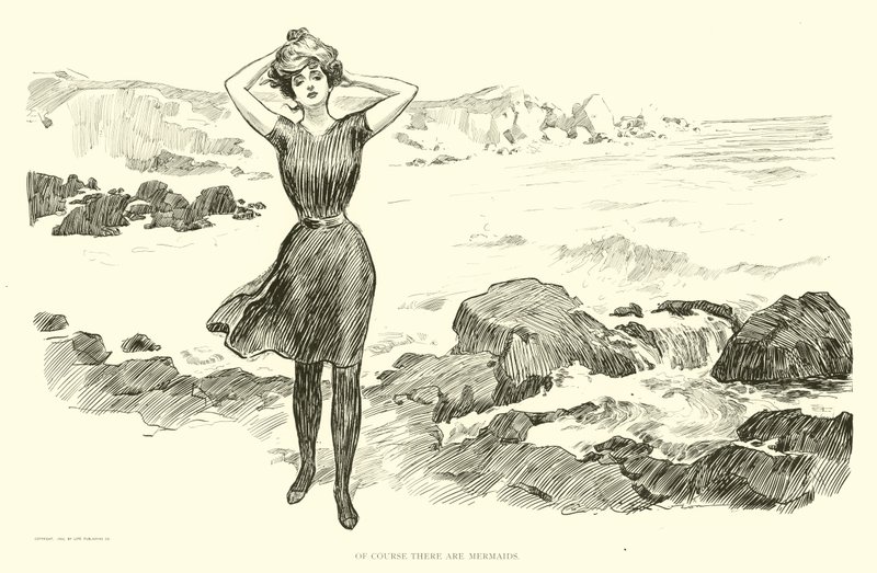 Ilustracja do drabiny społecznej autorstwa Charles Dana Gibson