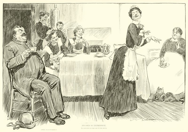 Ilustracja do drabiny społecznej autorstwa Charles Dana Gibson