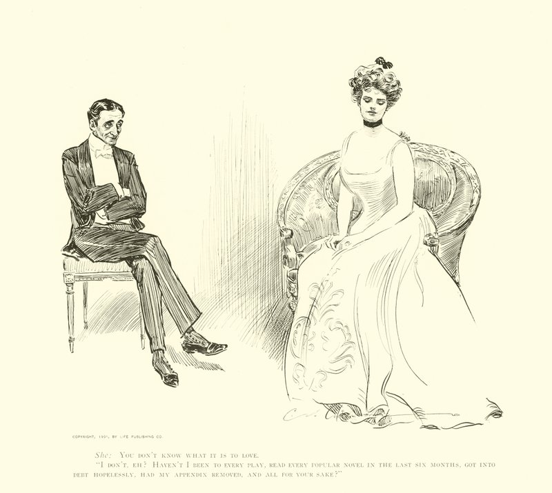 Ilustracja do drabiny społecznej autorstwa Charles Dana Gibson