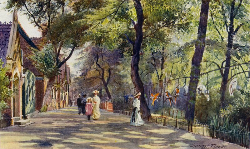 Londyńskie zoo: domy papug i słoni (kolor lito) autorstwa Charles Edwin Flower