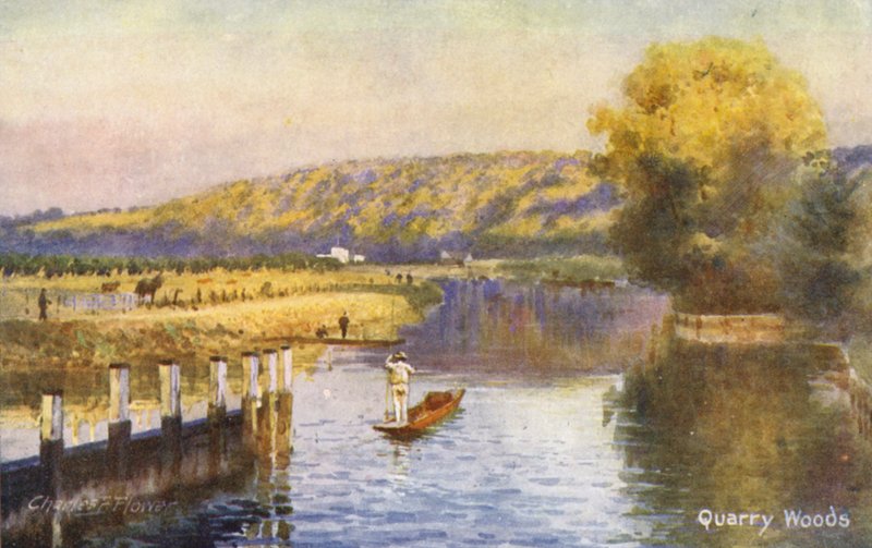 Tamiza: Quarry Woods (kolorowa litografia) autorstwa Charles Edwin Flower