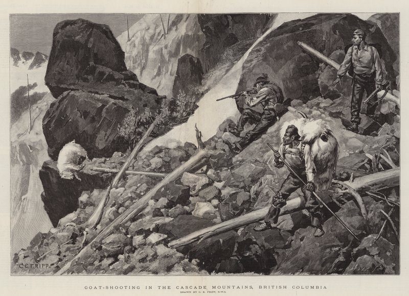 Strzelanie do kóz w górach Cascade, Kolumbia Brytyjska autorstwa Charles Edwin Fripp