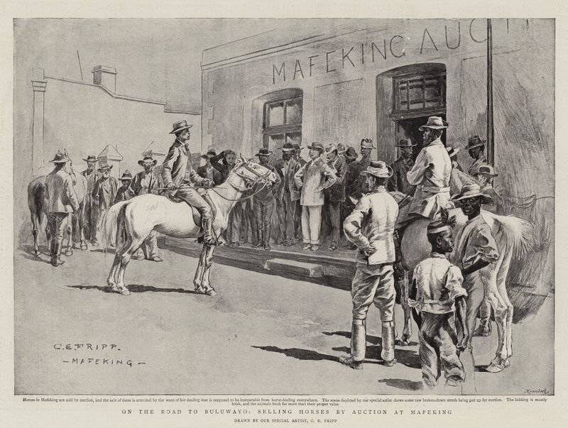W drodze do Bulawayo, sprzedaż koni na aukcji w Mafeking autorstwa Charles Edwin Fripp