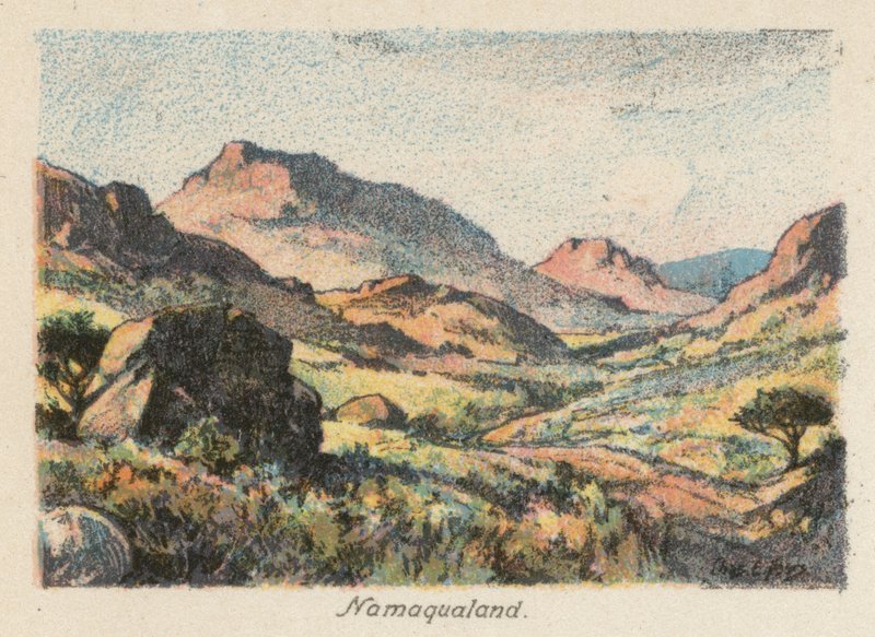 Republika Południowej Afryki: Namaqualand (kolorowa litografia) autorstwa Charles Ernest Peers