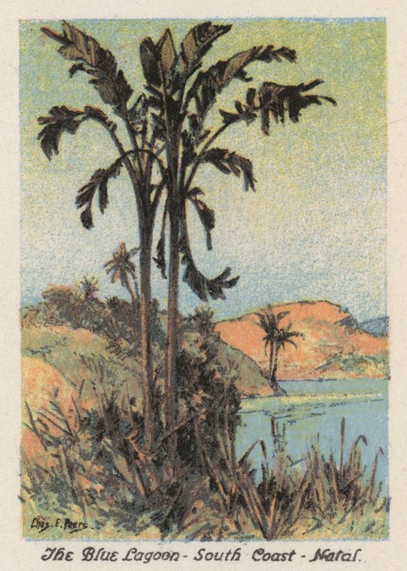 Republika Południowej Afryki: Błękitna Laguna, południowe wybrzeże, Natal (kolorowa litografia) autorstwa Charles Ernest Peers