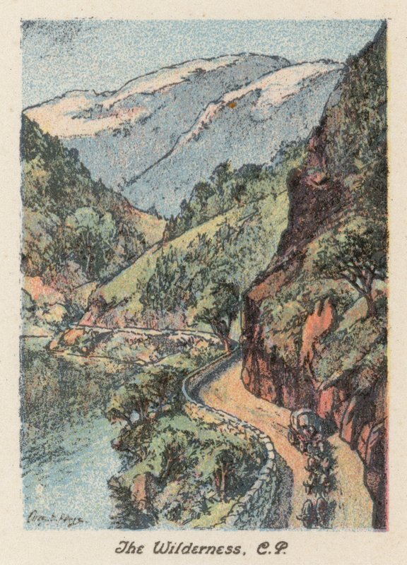Republika Południowej Afryki: The Wilderness, CP (kolorowa litografia) autorstwa Charles Ernest Peers