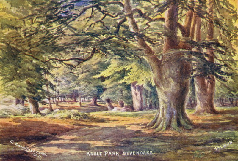 Knole House: Buki w parku (kolorowa litografia) autorstwa Charles Essenhigh Corke