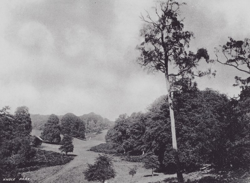 Park Knole (zdjęcie czarno-białe) autorstwa Charles Essenhigh Corke