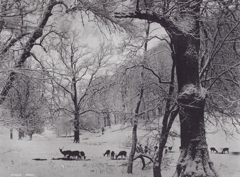 Park Knole (zdjęcie czarno-białe) autorstwa Charles Essenhigh Corke