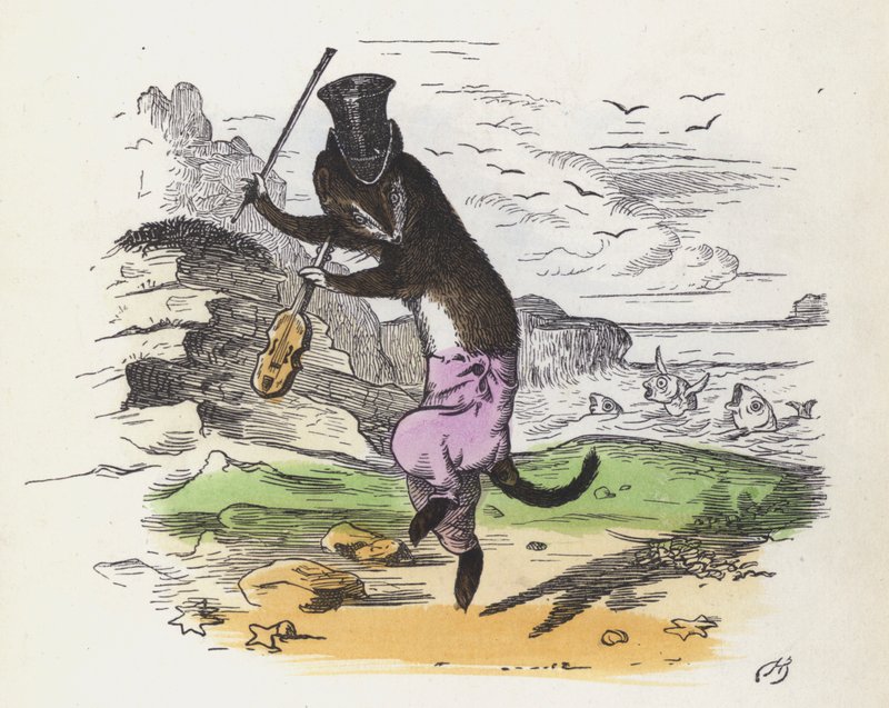 Francuska łasica grająca na skrzypcach i tańcząca (kolorowy grawerunek) autorstwa Charles Henry (after) Bennett