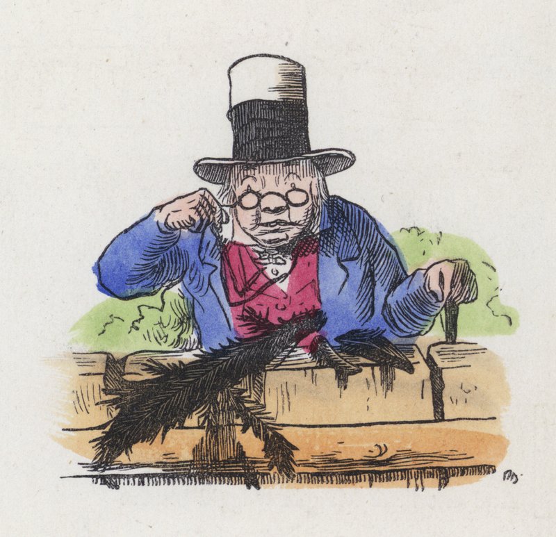 Szczątki dwóch srok na płocie (kolorowy grawer) autorstwa Charles Henry (after) Bennett