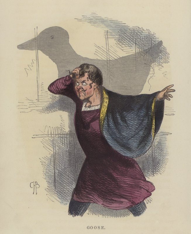 Gęś (kolorowy grawer) autorstwa Charles Henry Bennett