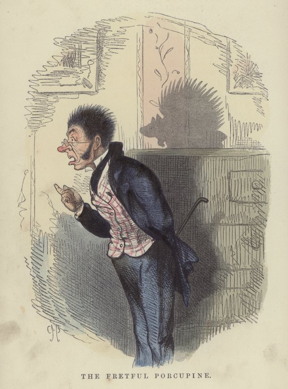 Niespokojny jeżozwierz (kolorowy grawer) autorstwa Charles Henry Bennett