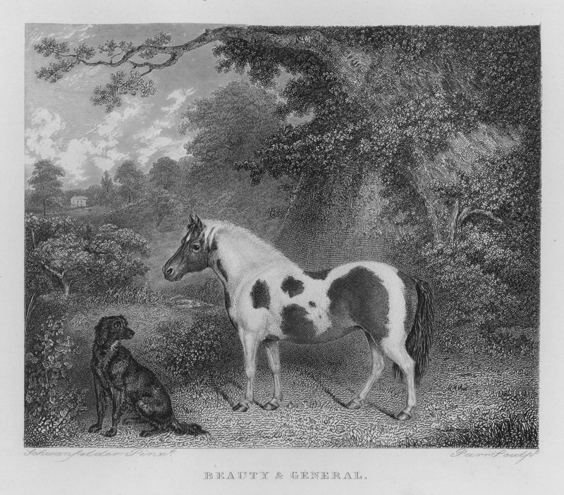 Uroda i Ogólne (grawerowanie) autorstwa Charles Henry Schwanfelder