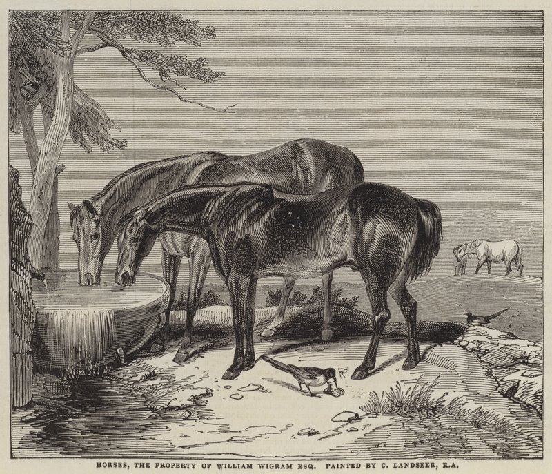 Konie, własność Williama Wigrama, Esquire autorstwa Charles Landseer