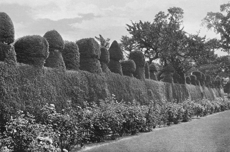 Fulford Hall: Ekscentryczne topiary autorstwa Charles Latham