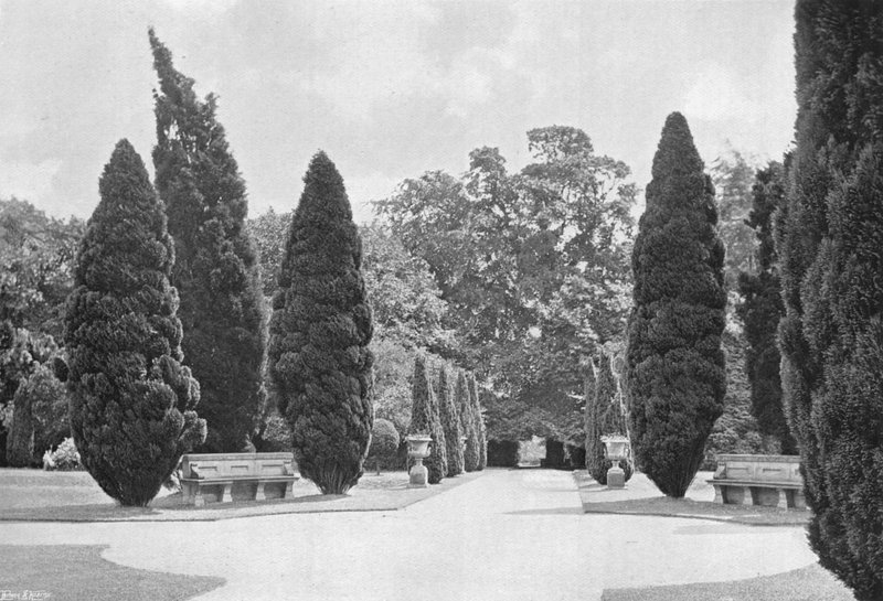 Rozdroża, Ogród Południowy autorstwa Charles Latham