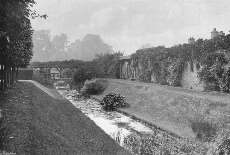 Fosa autorstwa Charles Latham
