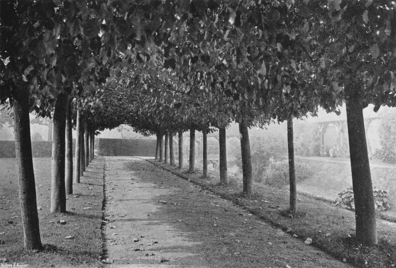 Pleached Walk (zdjęcie czarno-białe) autorstwa Charles Latham