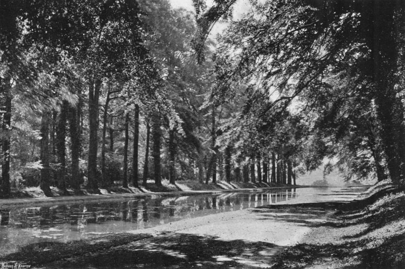 T Pond (zdjęcie czarno-białe) autorstwa Charles Latham