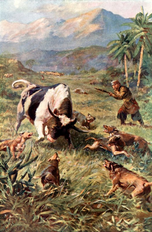 Polowanie na dzikie bydło na Haiti autorstwa Charles Mills Sheldon