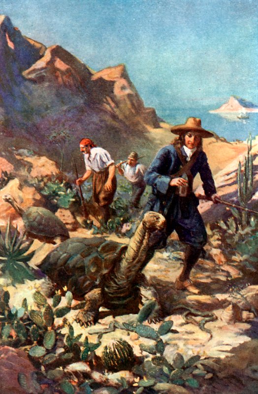 Żółwie olbrzymie z Wysp Galapagos autorstwa Charles Mills Sheldon