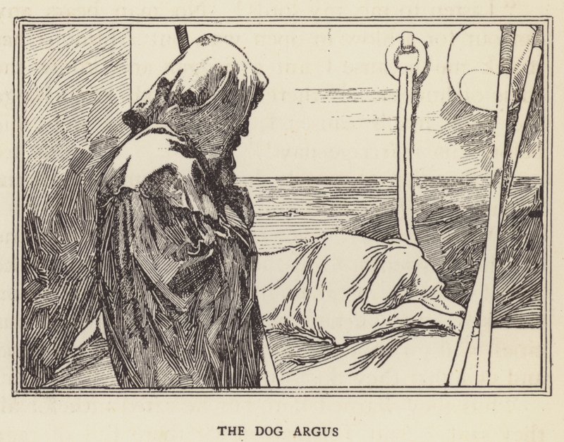 Pies Argus autorstwa Sir John Charles Robinson