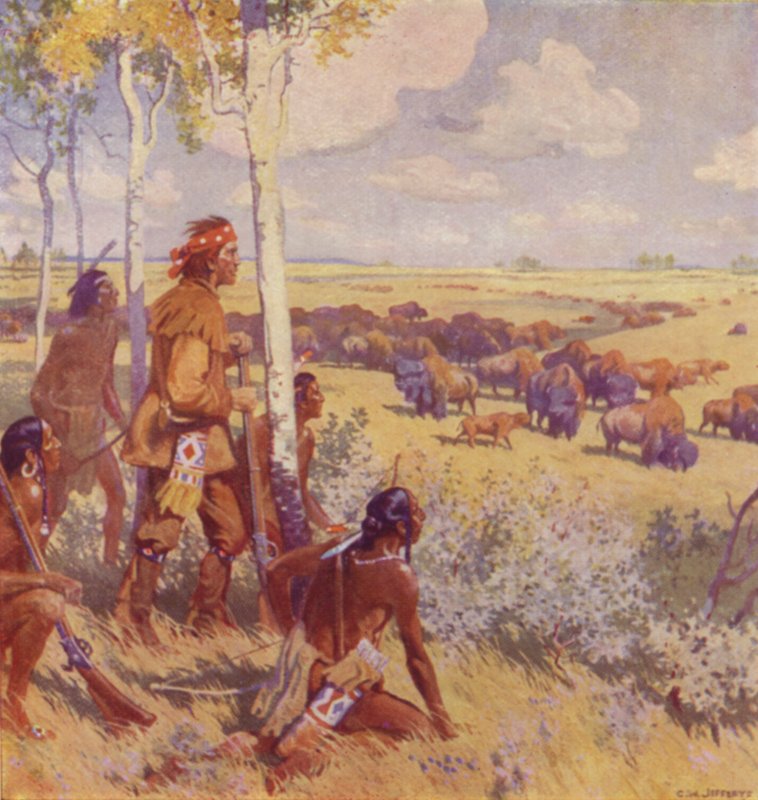 Kelsey widzi Buffalo (kolor lito) autorstwa Charles William (after) Jefferys