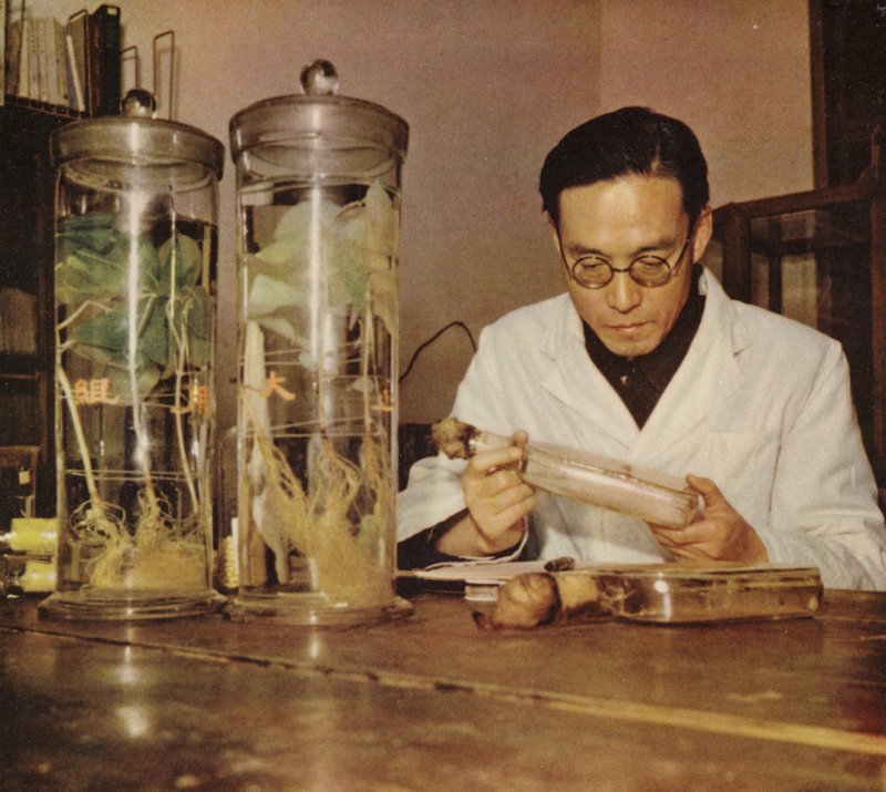 Chiński chemik rolny z Changchun Research Institute Chińskiej Republiki Ludowej, lata 50. XX w autorstwa Chinese Photographer
