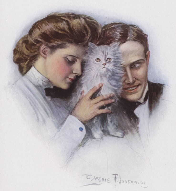 جوړه د بلی پولی سره autorstwa Clarence F. Underwood
